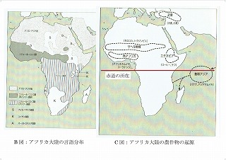 アフリカ大陸の農産物の起源